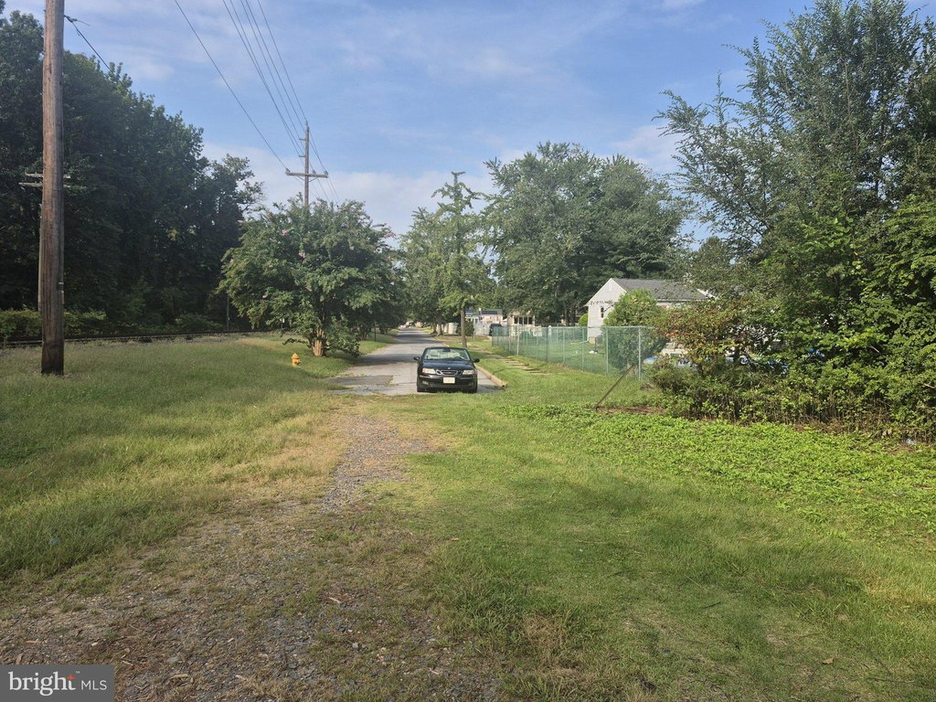 Picture 5