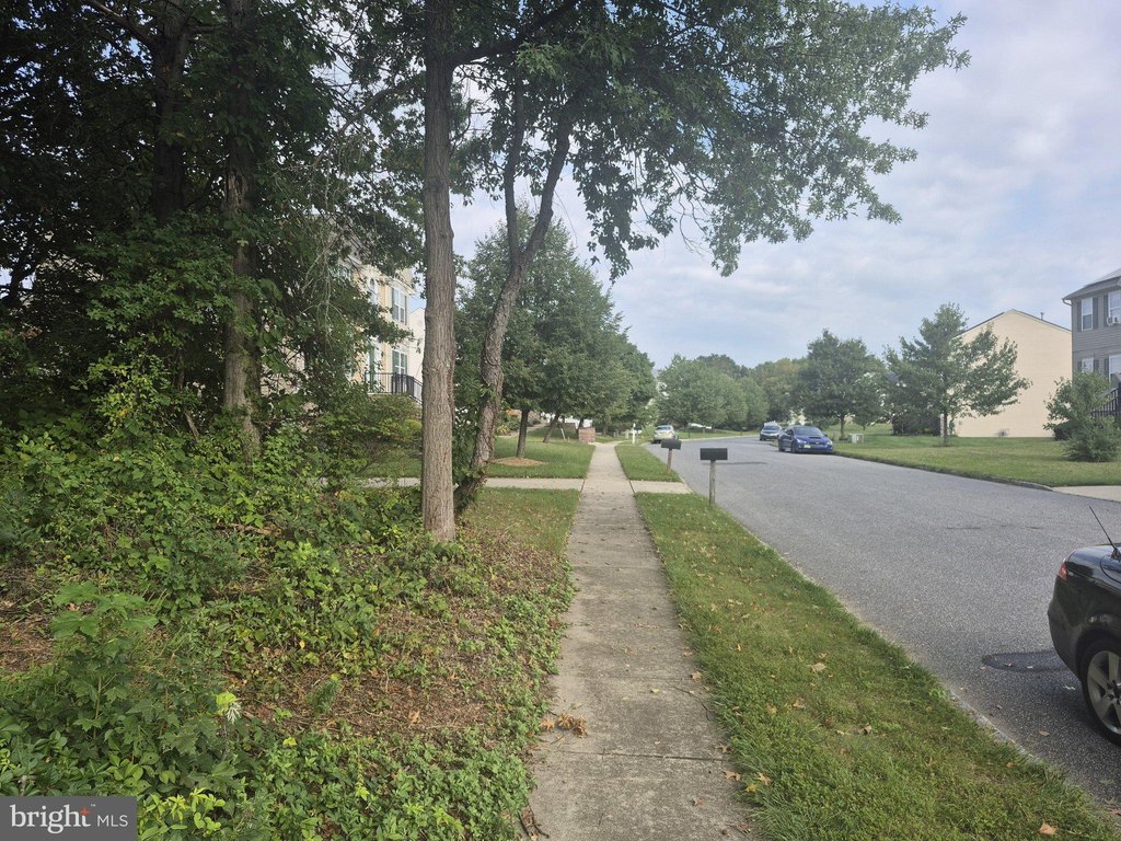 Picture 6