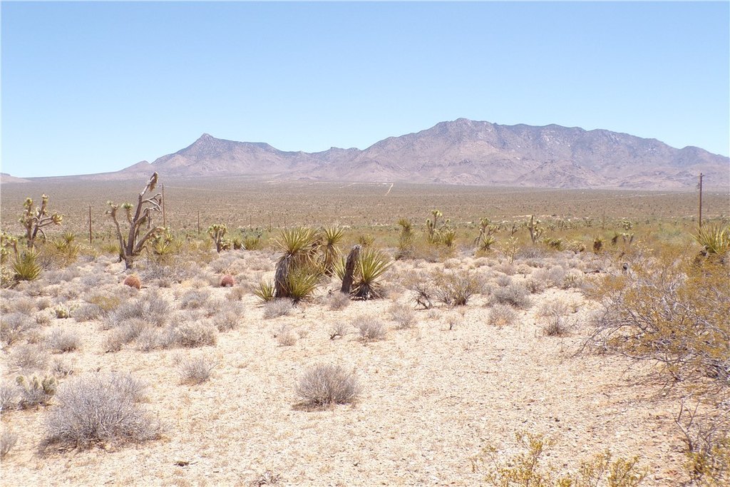 Picture 24