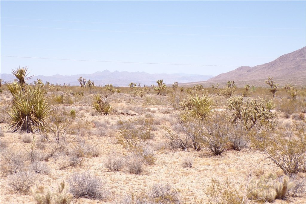 Picture 21
