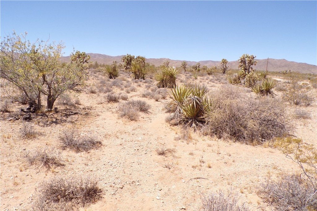 Picture 11