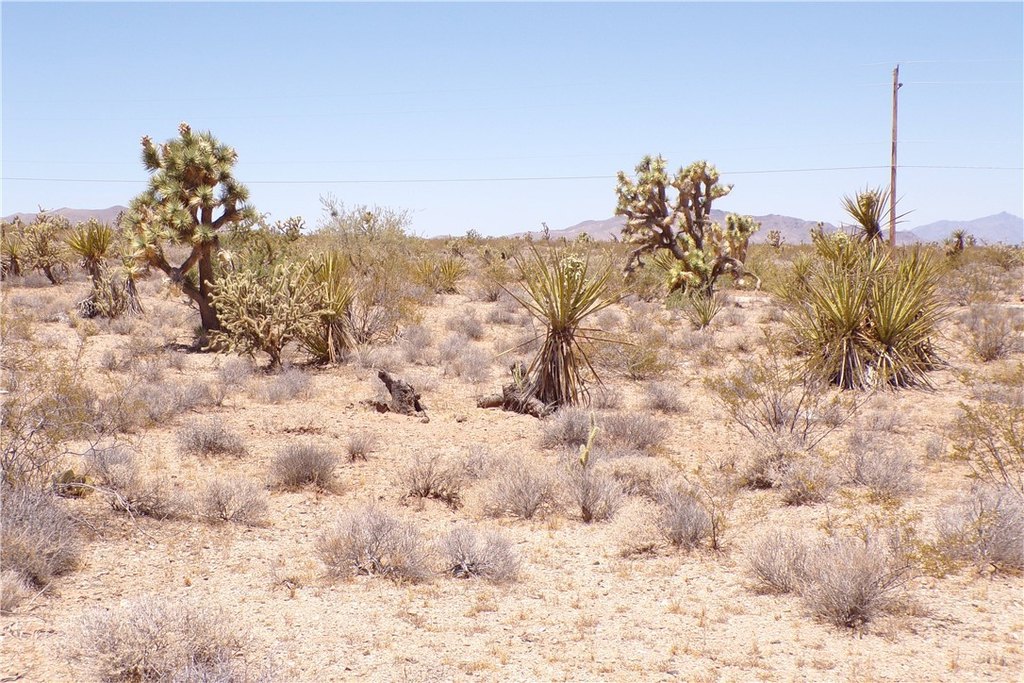 Picture 23