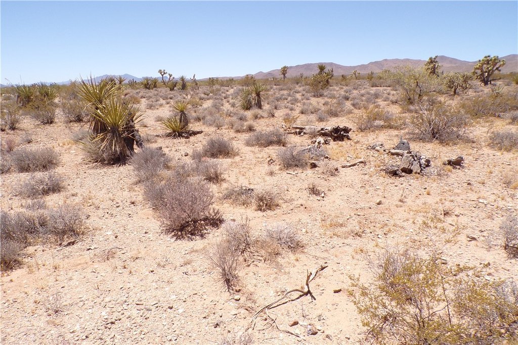 Picture 8