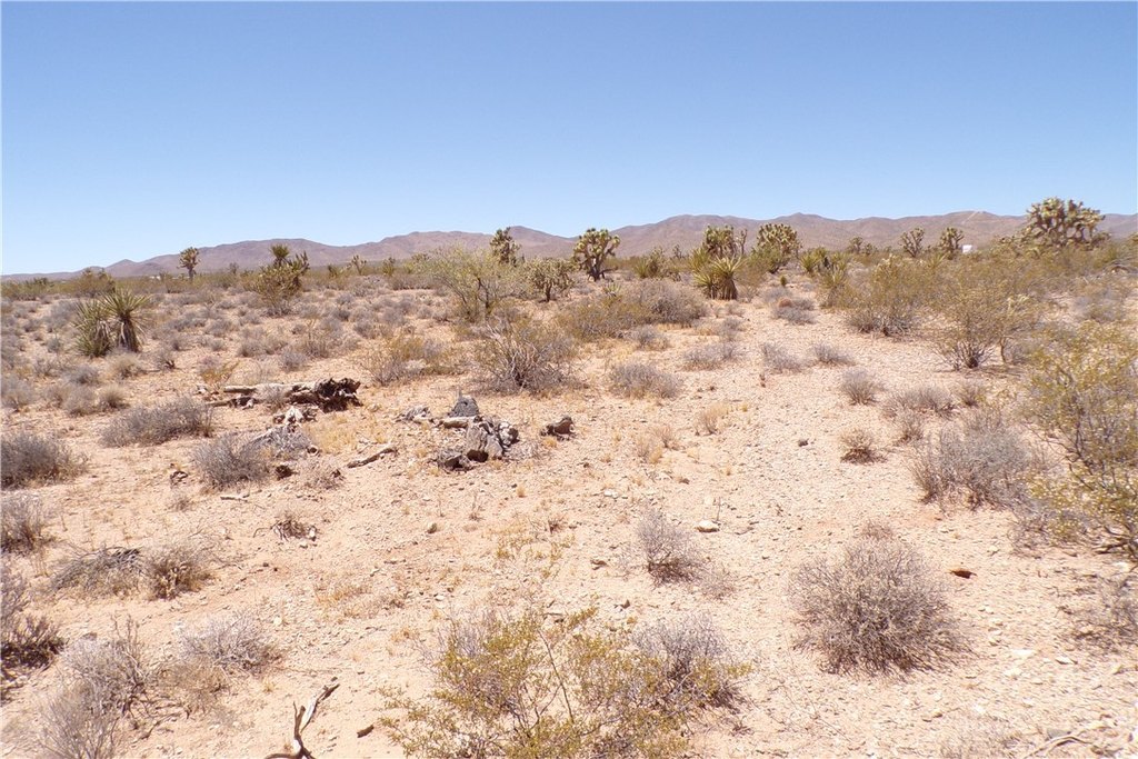 Picture 7