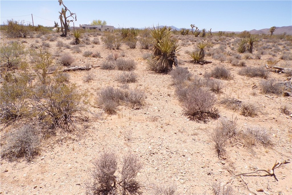 Picture 9
