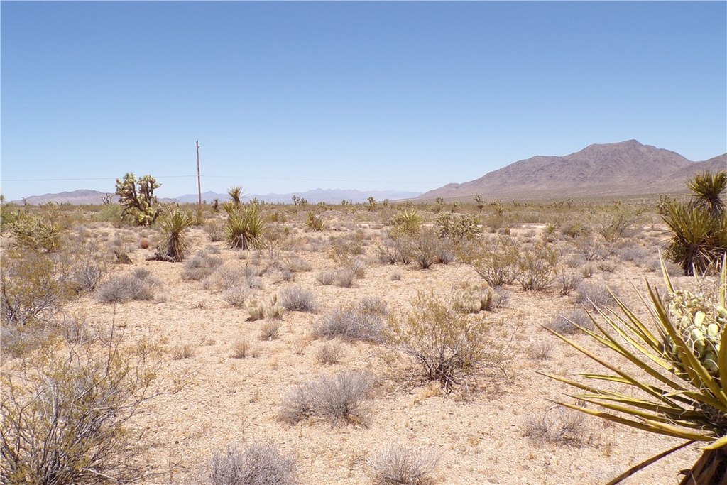 Picture 20