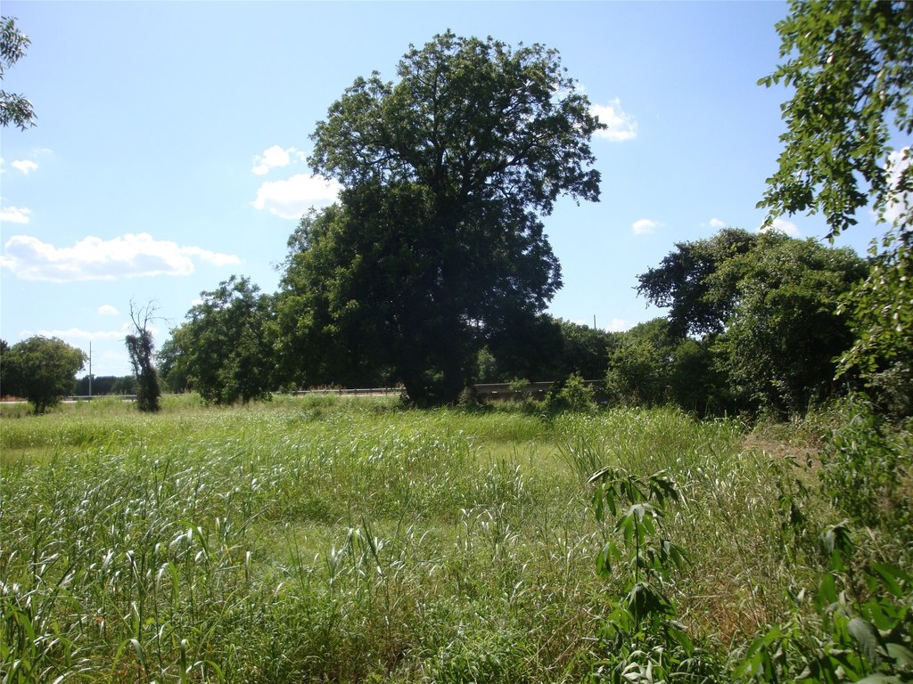Picture 17