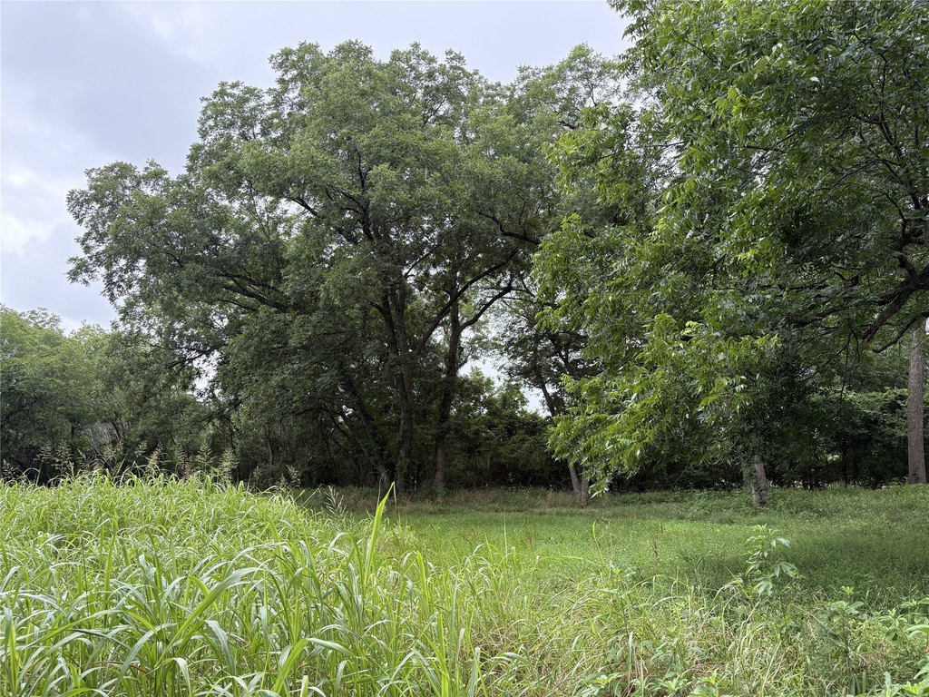 Picture 9