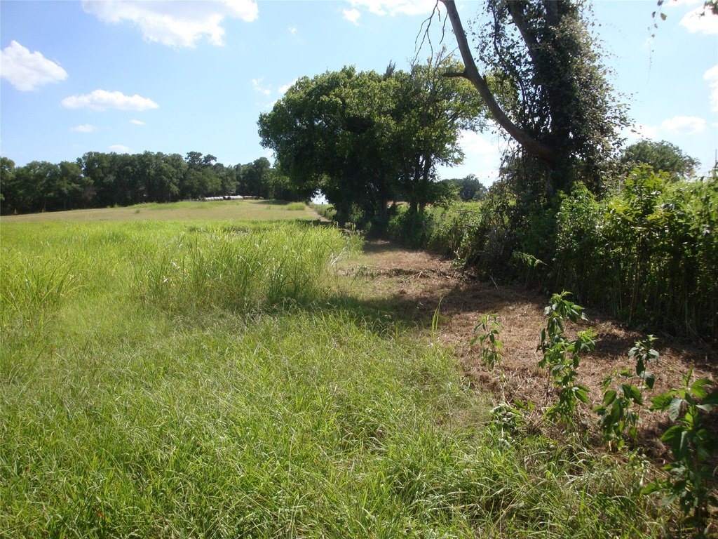 Picture 19