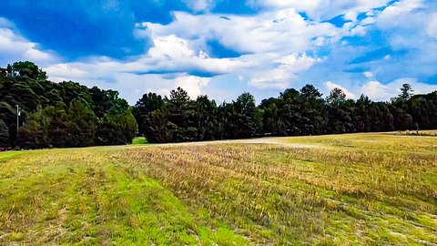 Land, Walterboro, SC