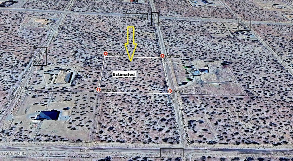 Picture 13