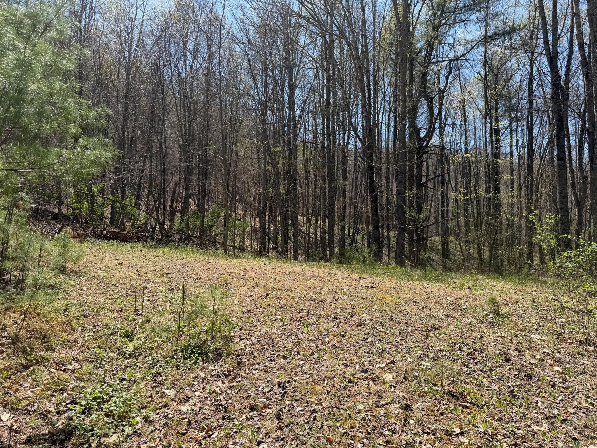 Expansive Land in Meadow Bridge, WV