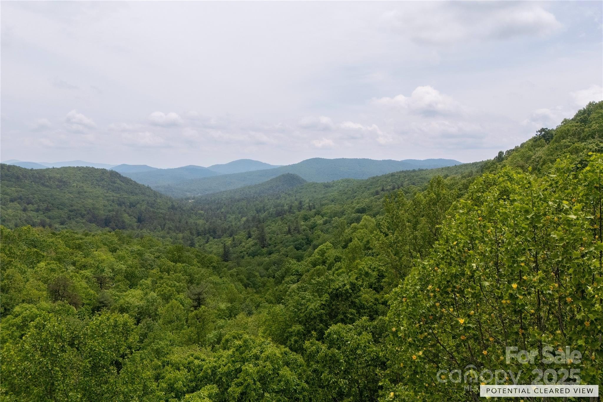 Pinnacle Mountain Wooded Lot