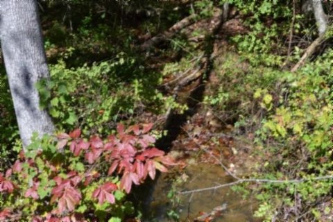 Scenic Acreage with Bluff View