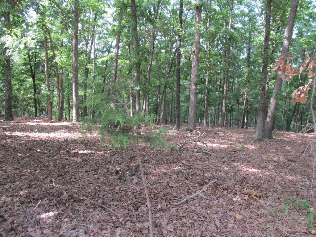 Picture 13