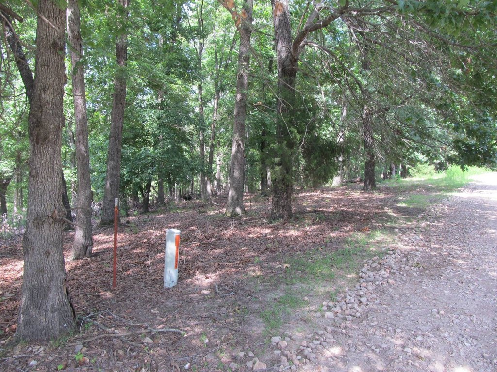 Picture 7