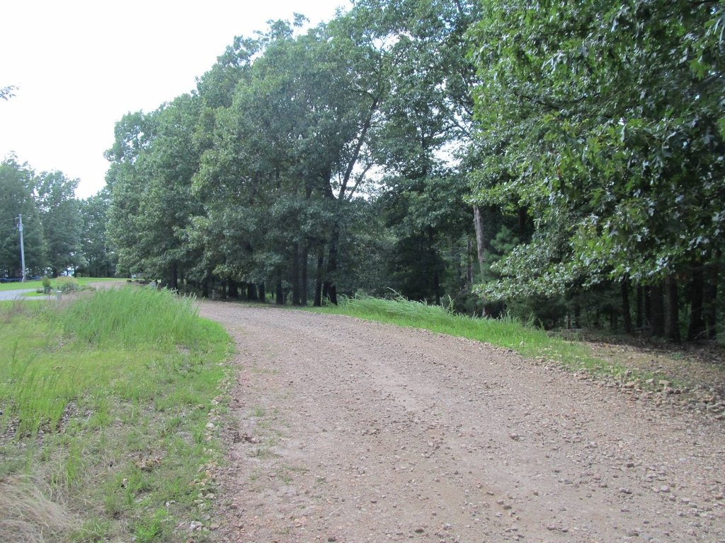 Picture 11