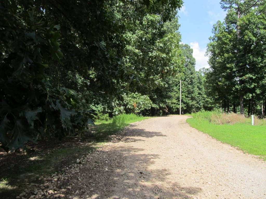 Picture 8
