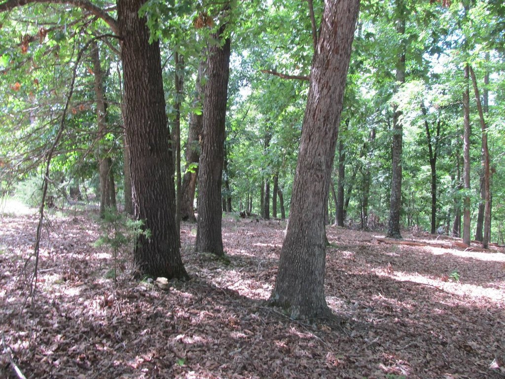Picture 14