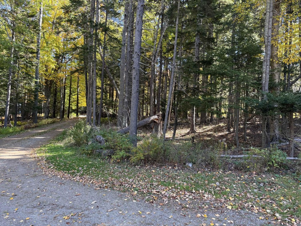 Picture 22