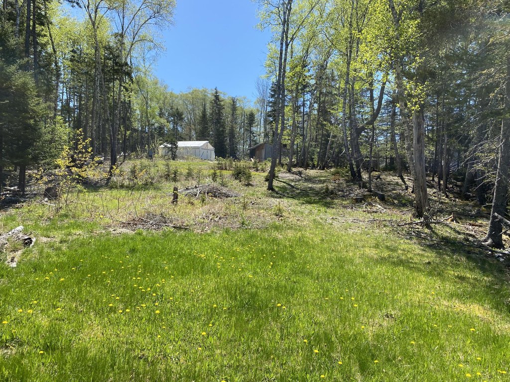 Picture 3