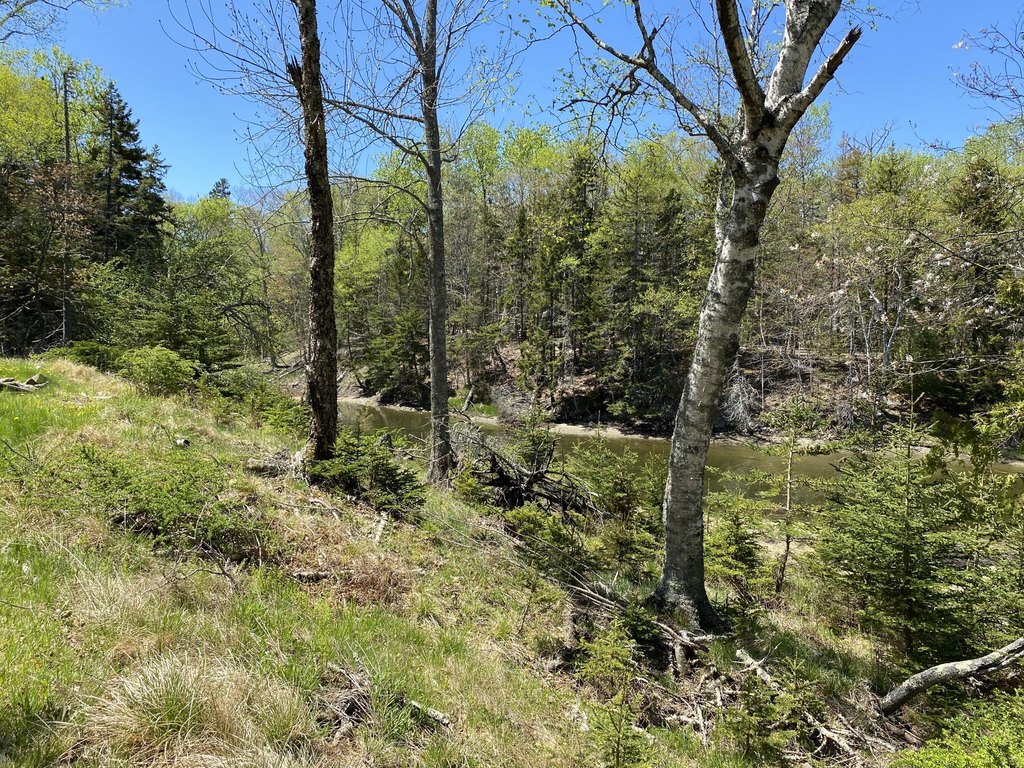 Picture 17