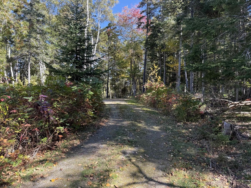 Picture 21