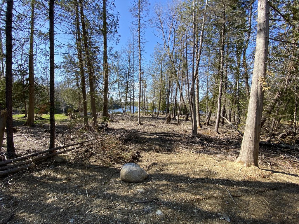 Picture 19