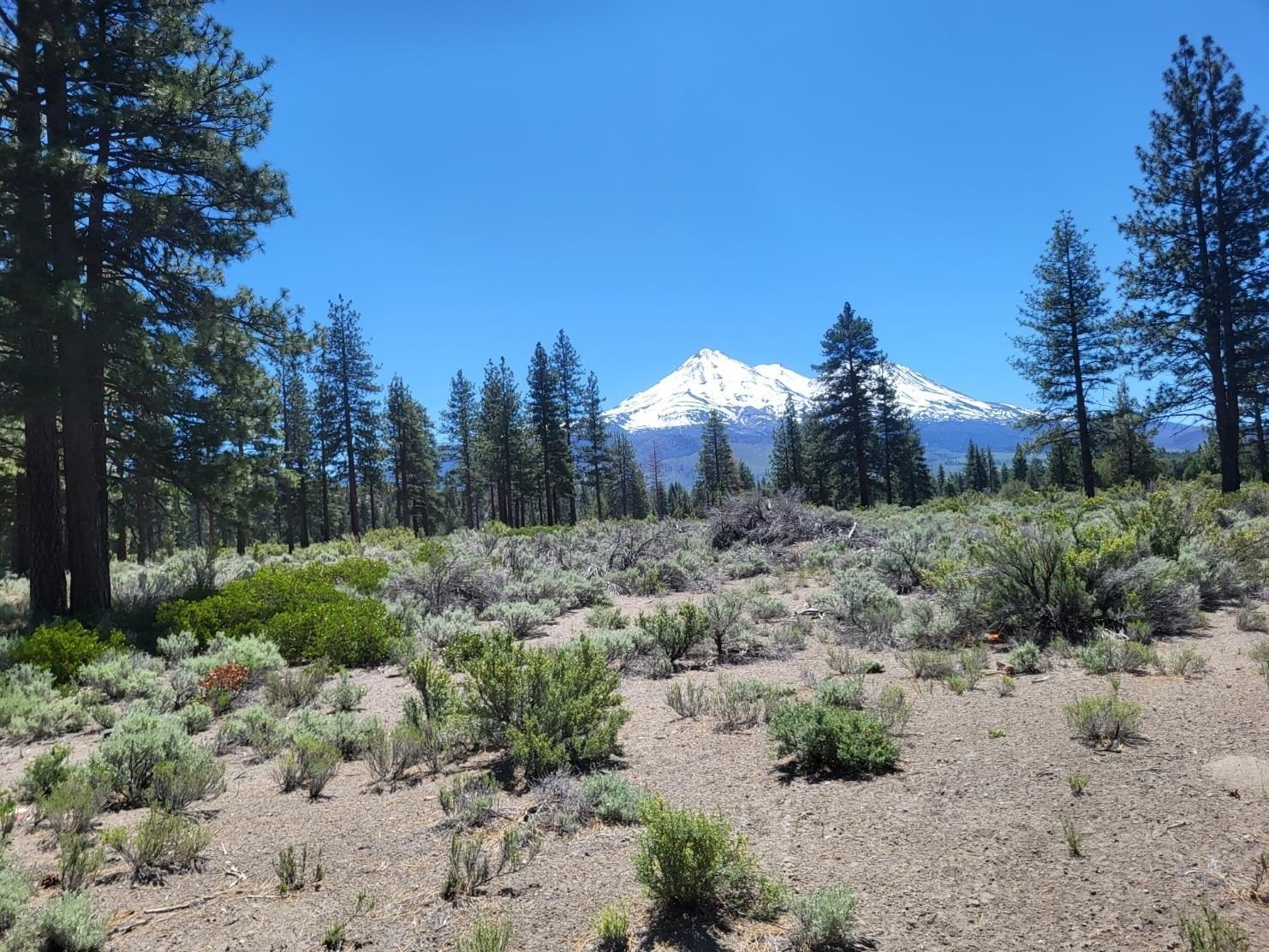 Montague Land with Mountain Views