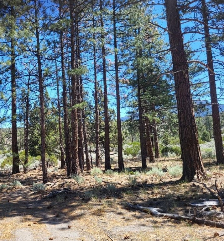 Picture 6