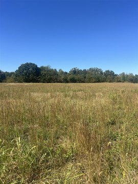 Lots and Land, Adolphus, KY