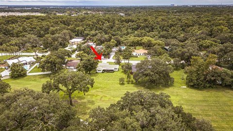 LAND - TEMPLE TERRACE, FL