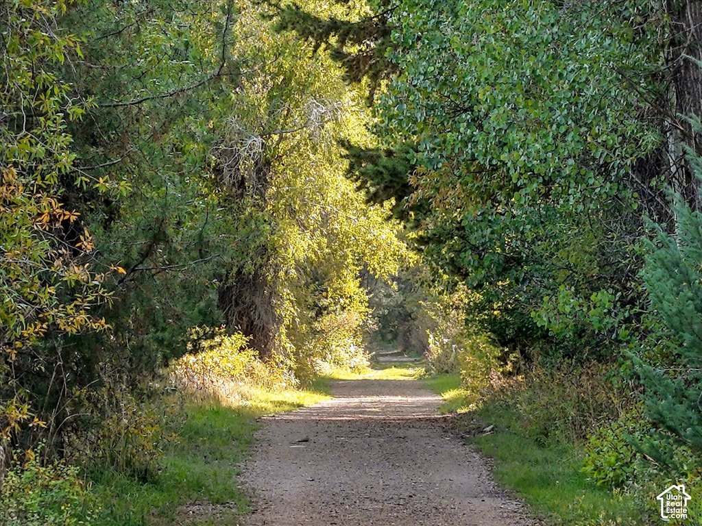 Picture 28