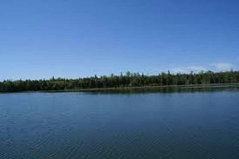 LAND - CEDARVILLE, MI