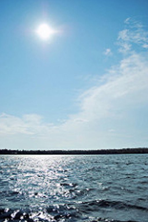 Picture 2