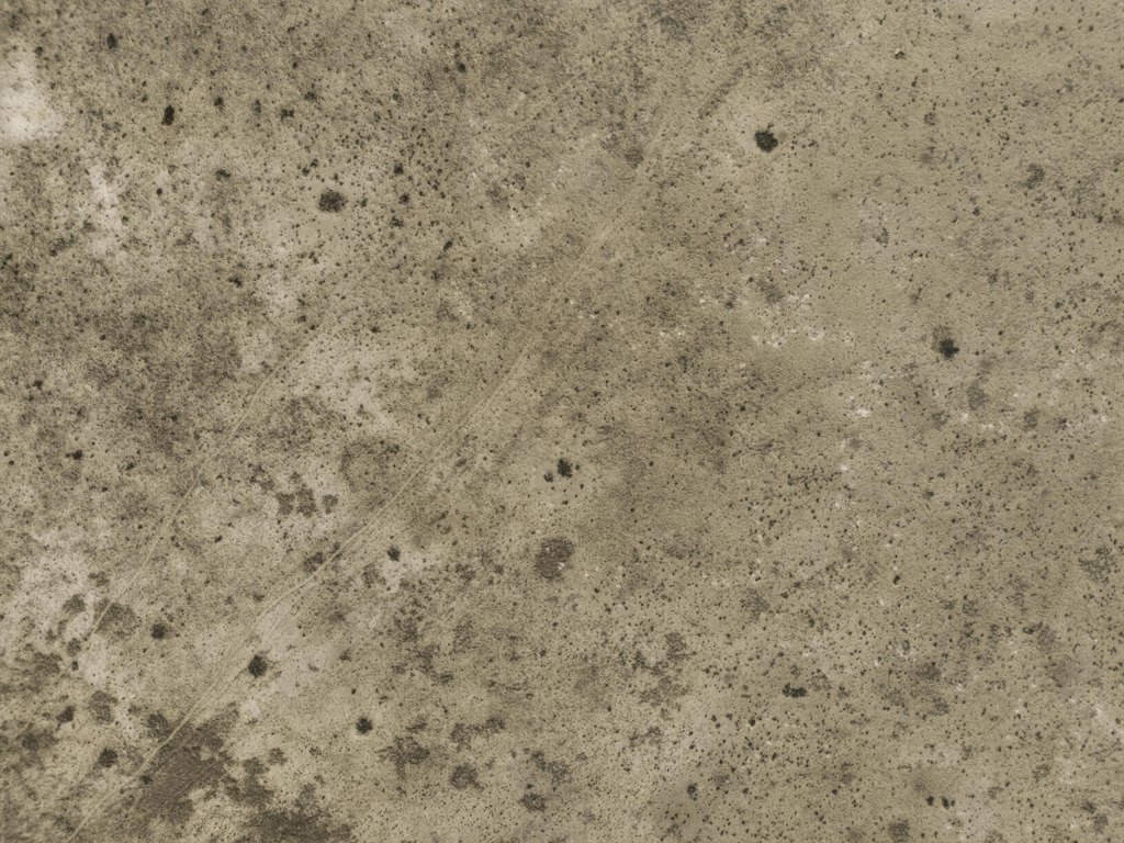 Picture 8