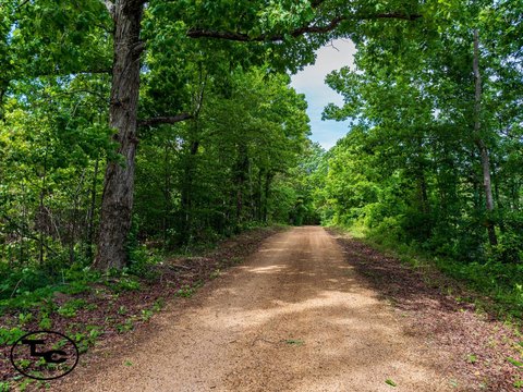 Recreational Hunting Land Tract