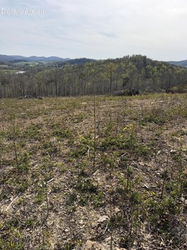 Cleared Mountain-Side Development Land