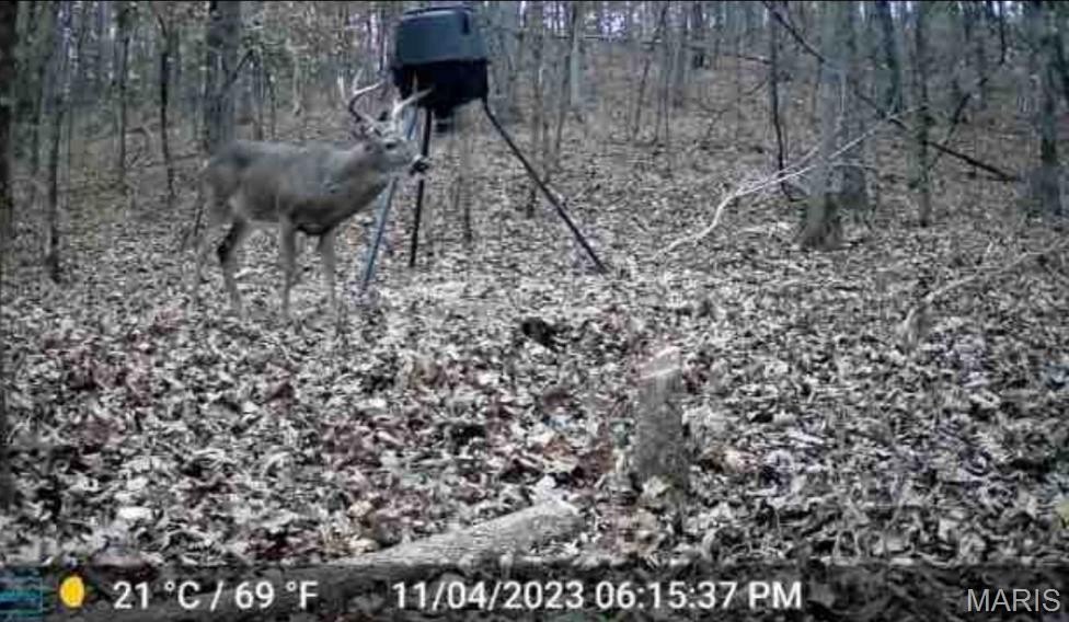 Affordable Hunting Land Near Highway
