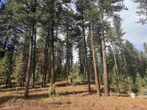 LAND - New Meadows, ID