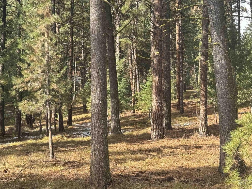 Picture 3