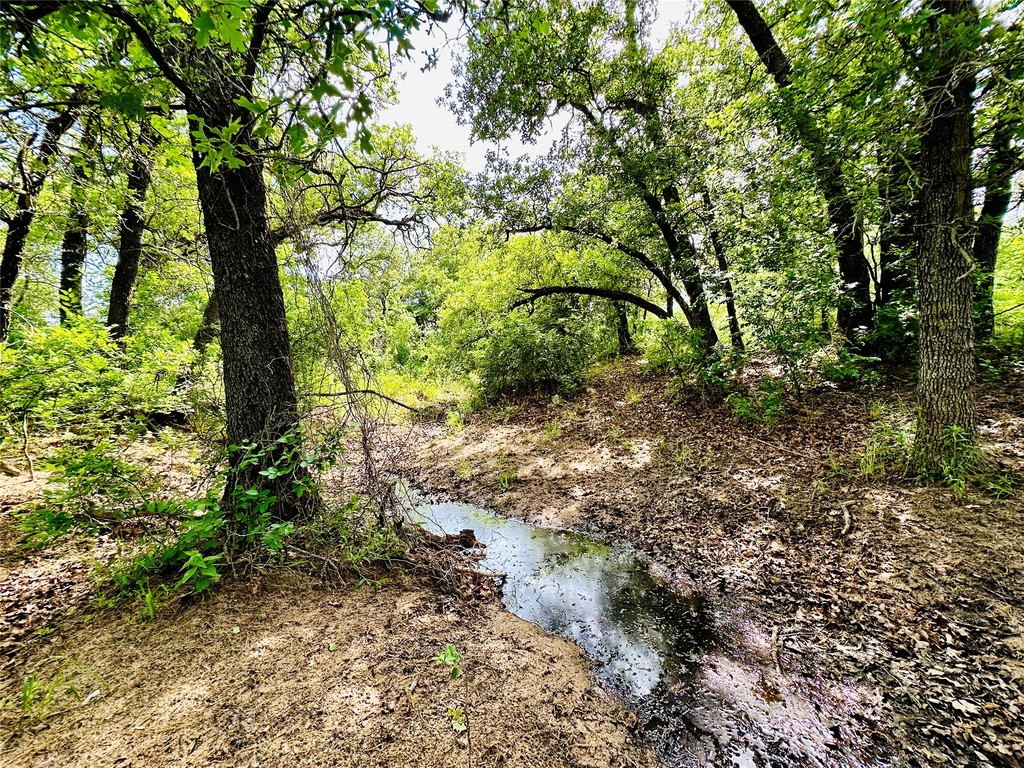 Picture 26