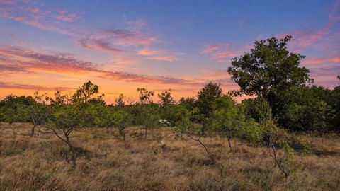Land, Gustine, TX