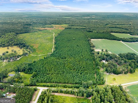 Statesboro, GA Land Opportunity