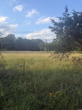 LAND - Conway, AR