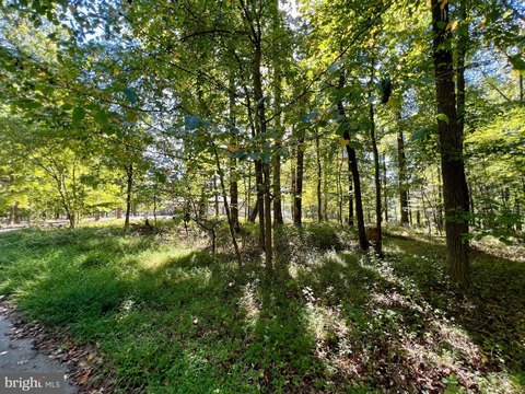 Land, REISTERSTOWN, MD