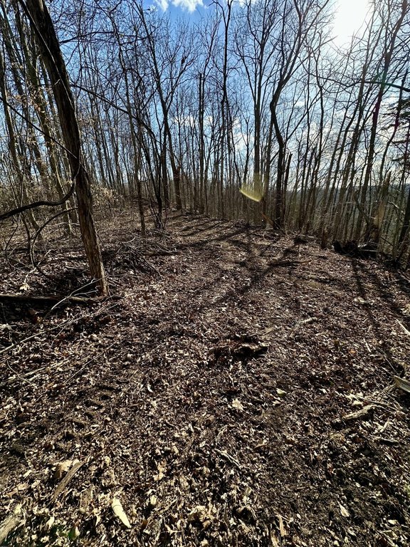 Picture 4