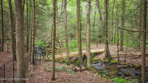 Lehighton Land with Stream