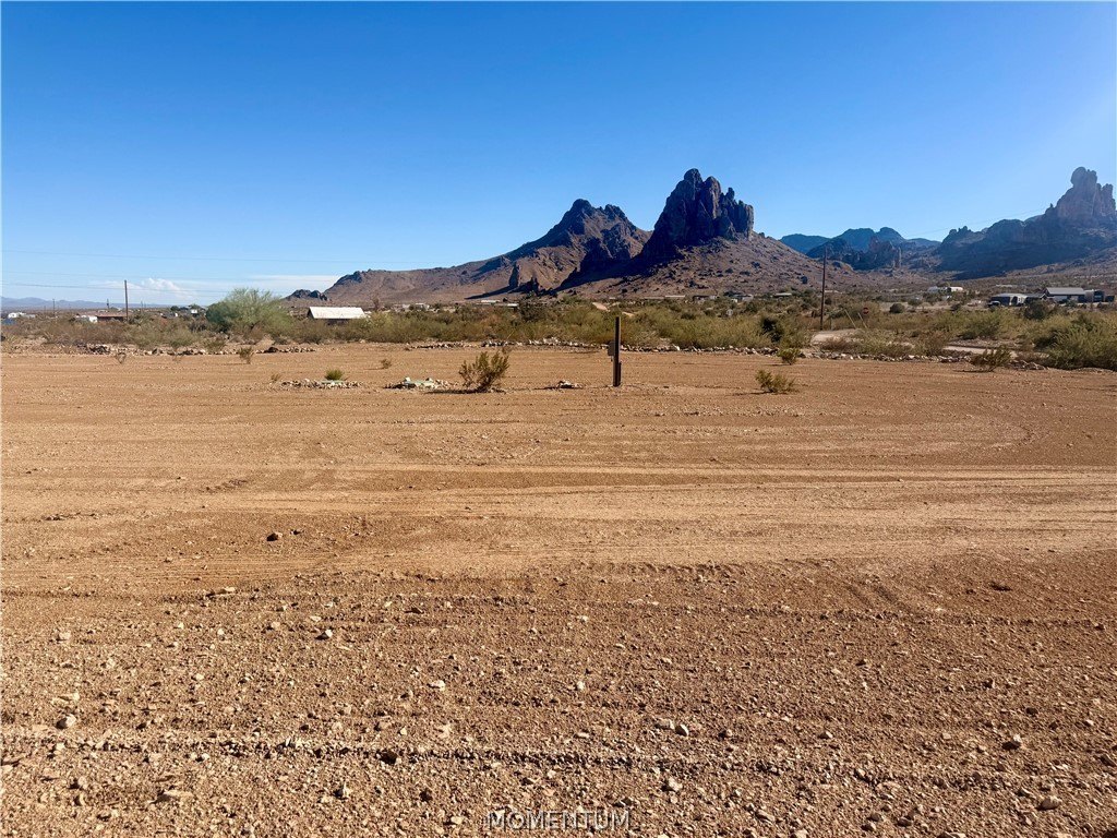 Picture 19