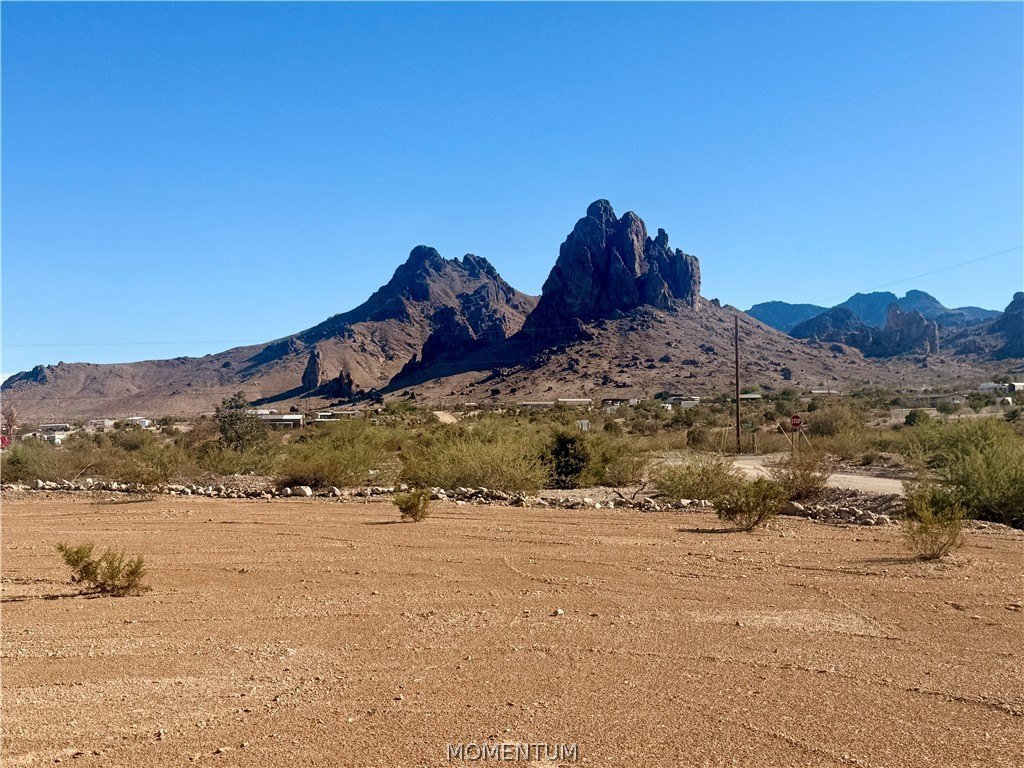 Picture 20